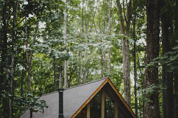 Chalet en bois au toit pointu au milieu de grands arbres