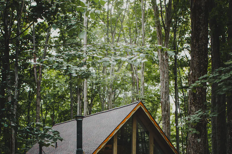 Chalet en bois au toit pointu au milieu de grands arbres