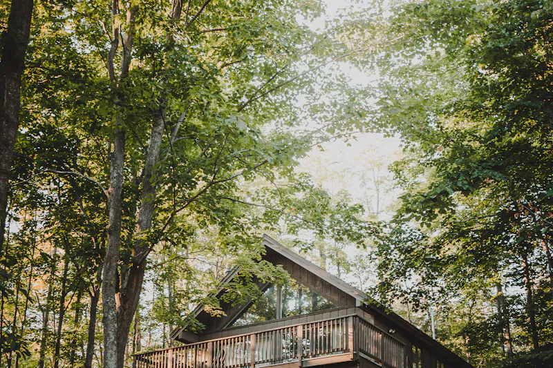 Maison en bois avec terrasse dans une forêt